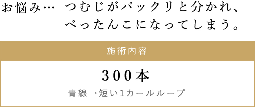 施術内容/300本